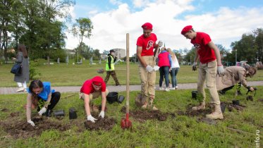 Фото: В череповецком парке высадили 75 сиреней