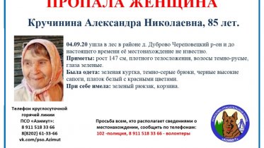 Фото: В Череповецком районе ищут ушедшую в лес пенсионерку