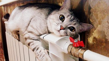 Фото: В Череповце отопление начнут подключать со следующей недели