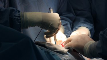 Фото: В Череповце стали бесплатно делать операции по замене тазобедренных суставов