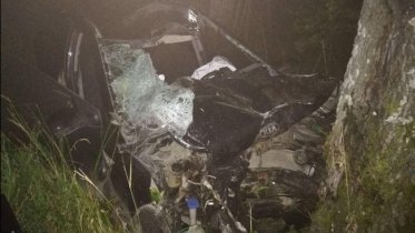 Фото: Многодетная семья попала в ДТП из-за выбежавшего на дорогу лося