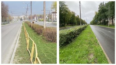 Фото: В Череповце уберут желтые пешеходные заборчики