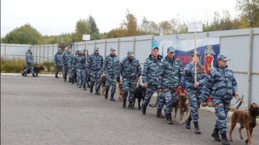 Фото: Череповчанин поедет в составе областной команды на всероссийский Чемпионат кинологов
