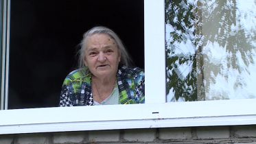 Фото: Под окнами череповецкой пенсионерки появилась сирень
