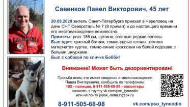 Фото: Петербуржец и его собака пропали в Череповце