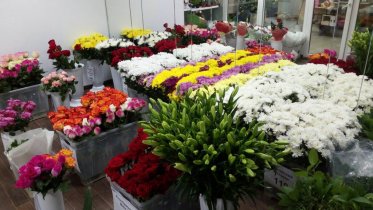 Фото: В Череповце мошенники проникли в аптеки и магазины цветов