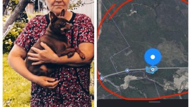 Фото: В Грязовецком районе пропала женщина с собакой