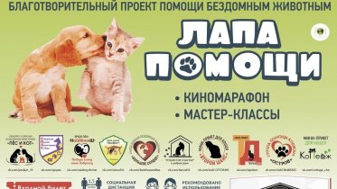 Фото: Череповецкий кинотеатр покажет фильмы участникам акции «Лапа помощи»