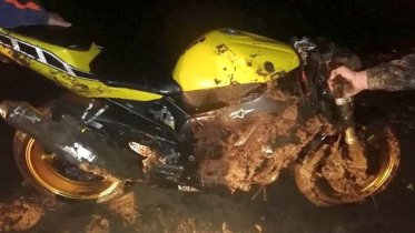 Фото: В Череповецком районе мотоциклист врезался в лося