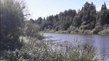 Фото: В Череповецком районе нашли тело второго пропавшего рыбака