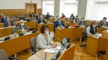 Фото: Депутаты областного Заксобрания проголосовали за продление ЕНВД до 2024 года