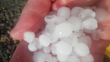 Фото: Побитый урожай, разрушенные теплицы и поврежденные дома: горожане комментируют последствия сильного града в Череповце