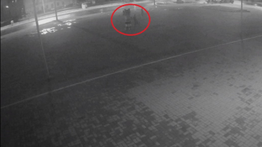 Фото: Оторвавших Севе лапу вандалов задержали в Череповце