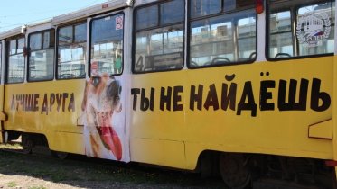 Фото: В Череповце «пёсотрамвай» вышел на линию вслед за «кототрамваем»