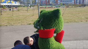 Фото: Голову «кошки с бантом» снес 20-летний череповчанин