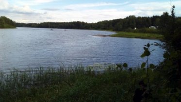 Фото: Следователи проводят проверку по факту гибели пожилого мужчины в реке в Череповецком районе