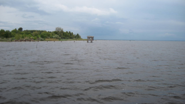 Фото: Рыбак бесследно пропал в Череповецком районе в поисках лодки