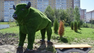 Фото: Вблизи школы в Череповце был замечен зубр