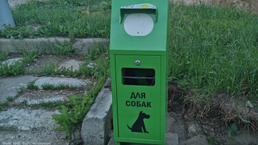 Фото: Собачьи урны устанавливают в Череповце