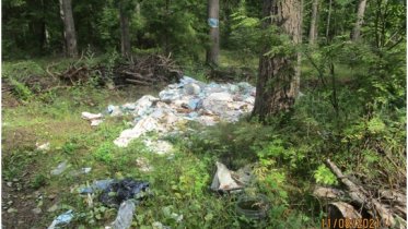 Фото: Земли лесного фонда Череповецкого района усеяны свалками