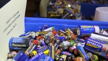 Фото: Череповчане спасают ежиков и сдают батарейки