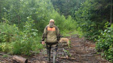 Фото: Пожилая череповчанка потерялась в лесу