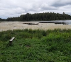 Фото: В Череповецком районе возбуждено уголовное дело по факту гибели подростка