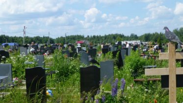 Фото: Молодого череповчанина нашли мертвым на кладбище