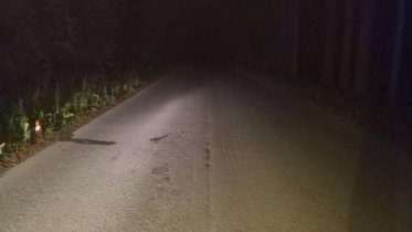 Фото: Под Череповцом мотоциклист сбил двух пешеходов