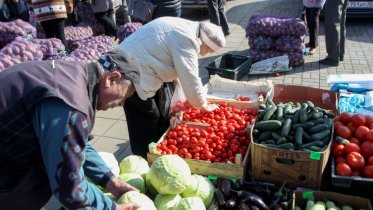 Фото: Череповчанам в сентябре организуют масштабные сельхозярмарки