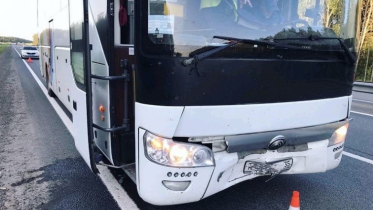 Фото: Автобус под Череповцом попал в ДТП с кабаном