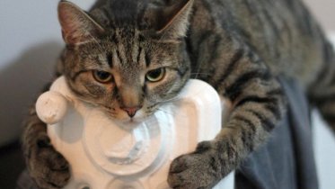 Фото: Старт отопительного сезона в Череповце: когда батареи станут горячими?