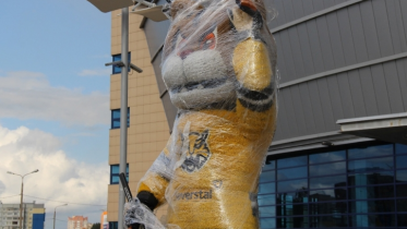 Фото: Рысёнок Сева снова в строю