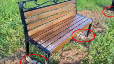 Фото: Череповецкого стоматолога возмутила «технология» установки урн и скамеек в Зашекснинском районе