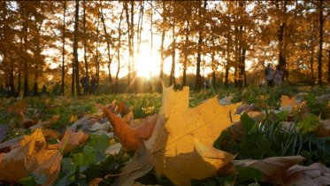 Фото: Череповчанам пообещали потепление и «бабье лето»