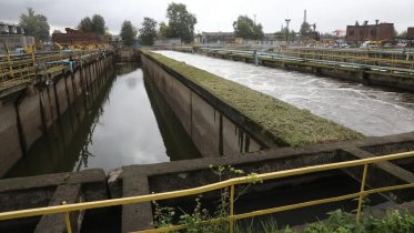 Фото: Руководство Минприроды РФ оценило экологические достижения Череповца