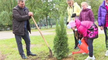 Фото: Учащиеся школы № 26 в Череповце озеленили территорию учреждения