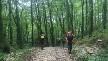 Фото: Череповецкий дачник загадочно пропал между двумя деревнями