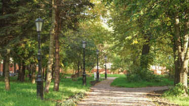 Фото: Череповчанам предложили выбрать новую территорию для благоустройства