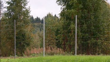 Фото: Трассы под Череповцом обнесут ограждающей сеткой