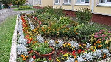 Фото: Десять клумб разбили возле школы № 41 ученики вместе с родителями