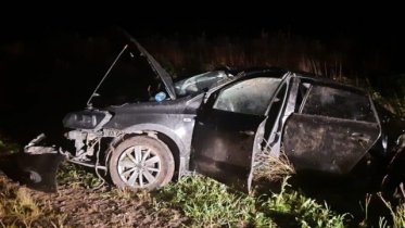 Фото: Череповчанин улетел в кювет из-за выскочившей на трассу лисы