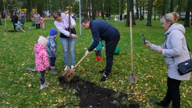 Фото: Макаринскую рощу озеленяют и облагораживают