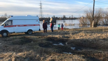 Фото: В Череповецком районе обнаружили тела двух мужчин