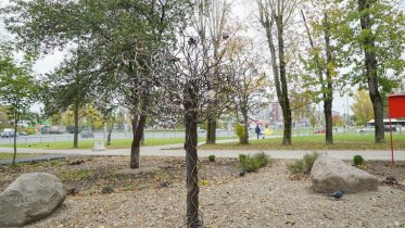 Фото: Череповчане создали сквер Дружбы