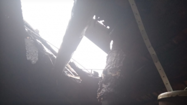 Фото: В Череповецком районе у пенсионера сгорел дачный дом