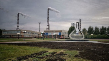 Фото: Необычный арт-объект появился под Череповцом