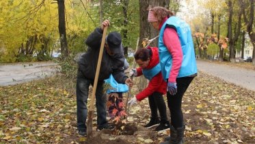 Фото: Высадили деревья и готовятся сделать освещение: на Гагарина благоустраивают сквер