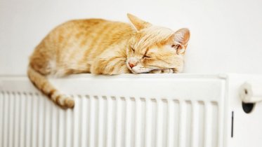 Фото: Жителям Индустриального района 3 дня придется мерзнуть