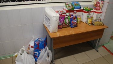 Фото: Школьники Череповца помогли бездомным животным